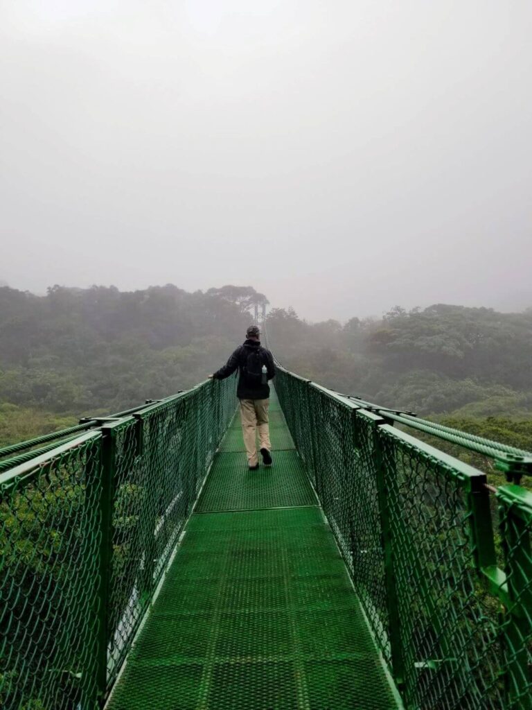 Suspension Bridges Cloud Forest