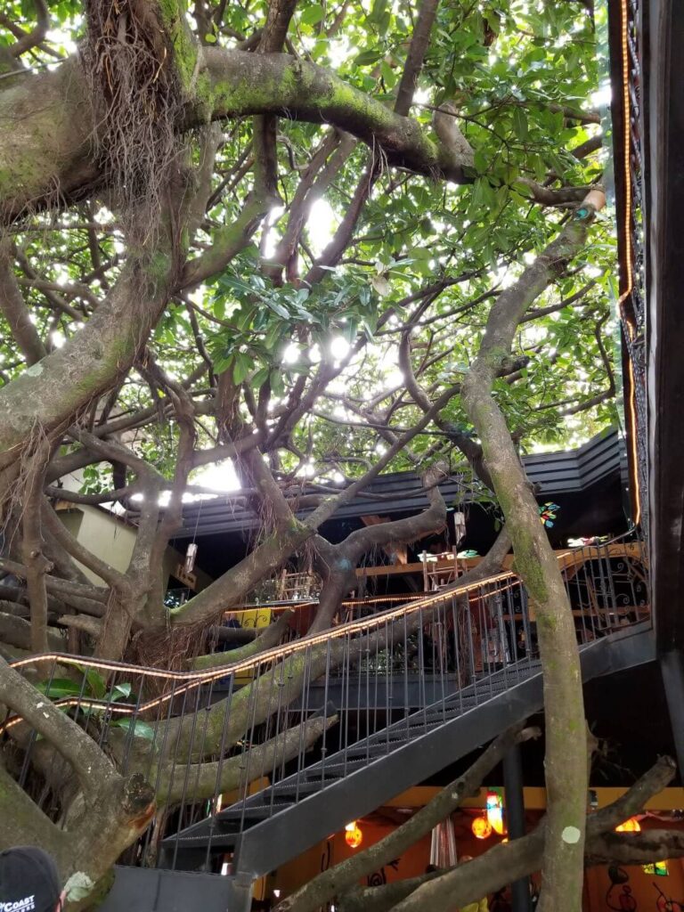 Treehouse Restaurant