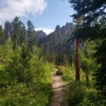 Custer Park Trail