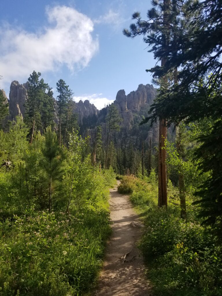 Custer Park Trail